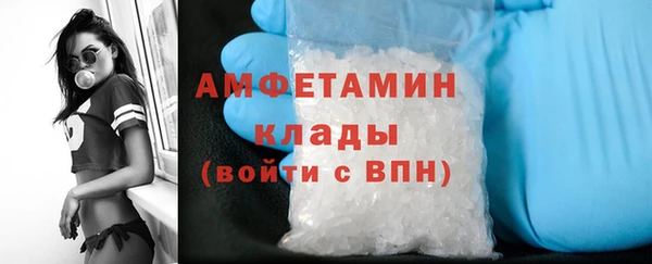 ГАЛЛЮЦИНОГЕННЫЕ ГРИБЫ Арсеньев