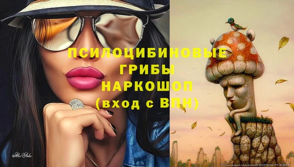 ГАЛЛЮЦИНОГЕННЫЕ ГРИБЫ Арсеньев